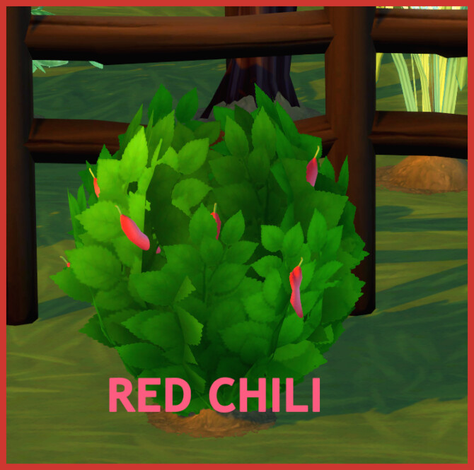 HARVESTABLE RED CHILI at Icemunmun