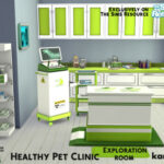 Healthy Pet Clinic Exploration room by kardofe at TSR