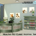 Healthy Pet Clinic Reception by kardofe at TSR