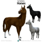 Horses for Cottage Living at Kalino