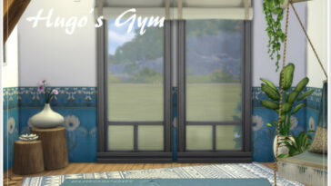 Hugo’s Gym by philo at TSR