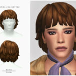 Lowell Hairstyle by Merci at TSR