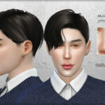 Male nose preset #1 by Coffeemoon at TSR