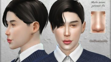 Male nose preset #1 by Coffeemoon at TSR