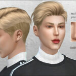 Male nose preset #2 by Coffeemoon at TSR