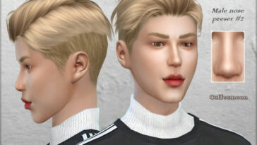 Male nose preset #2 by Coffeemoon at TSR