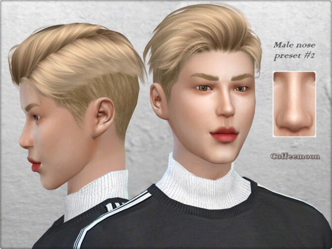 Male nose preset #2 by Coffeemoon at TSR