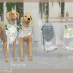 Outfit pet weddings bohemian by DanSimsFantasy at TSR