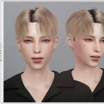 Paranoid L Hair by magpiesan at TSR