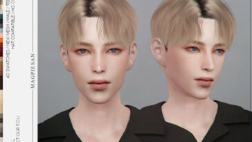 Paranoid L Hair by magpiesan at TSR