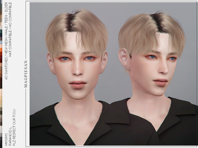 Paranoid L Hair by magpiesan at TSR