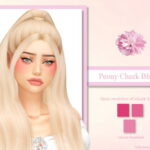 Peony Cheek Blusher by LadySimmer94 at TSR