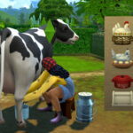 Portable Cooling Containers (Milk, Eggs, Prepared Foods) at Mod The Sims 4