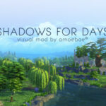 SHADOWS FOR DAYS – a visual mod at Picture Amoebae