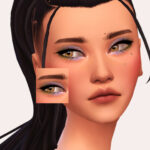 Salve Eyeshadow by Sagittariah at TSR