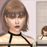 Sclub N97 Hair Retexture by PlayersWonderland at TSR