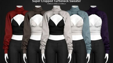 Super Cropped Turtleneck Sweater at Gorilla