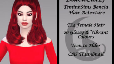 TsminhSims Bencia Hair Retexture by BlackCat27 at TSR