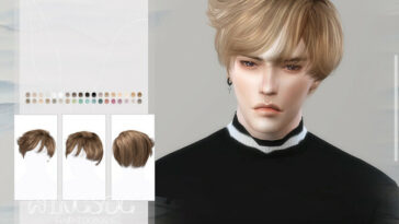 WINGS-TO0809 Smooth male hair by wingssims at TSR