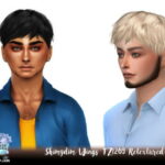 Wings TZ1209 Hair Retexture at Shimydim Sims