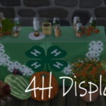 4-H Display Table by lowflyer at Mod The Sims 4