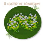 A cluster of dandelions by MoonFeather at Mod The Sims 4