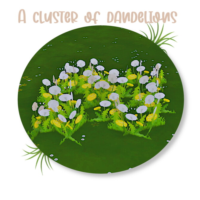 A cluster of dandelions by MoonFeather at Mod The Sims 4