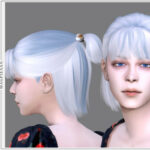 Alice Hair by magpiesan at TSR