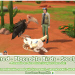 Animated Placeable Birds Steelpecker by Bakie at Mod The Sims 4