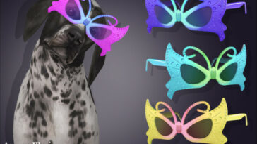 Arcane Illusions – Fairy Butterfly Sunglasses For Large Dog by feyona at TSR