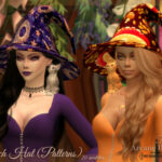 Arcane Illusions – Witch Hat by Dissia at TSR