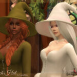 Arcane Illusions – Witch Hat by Dissia at TSR