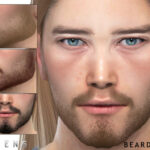 Beard N84 by Seleng at TSR