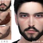 Beard N85 by Seleng at TSR