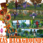 CAS Backgrounds “Hello Autumn” at Annett’s Sims 4 Welt