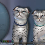 Cat Collar 01 by PlayersWonderland at TSR