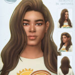 Cecilia Hair at SimsTrouble