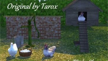 Chickens and accessories by Clara at All 4 Sims