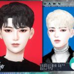 Dawn Male Hairstyle by KIMSimjo at TSR