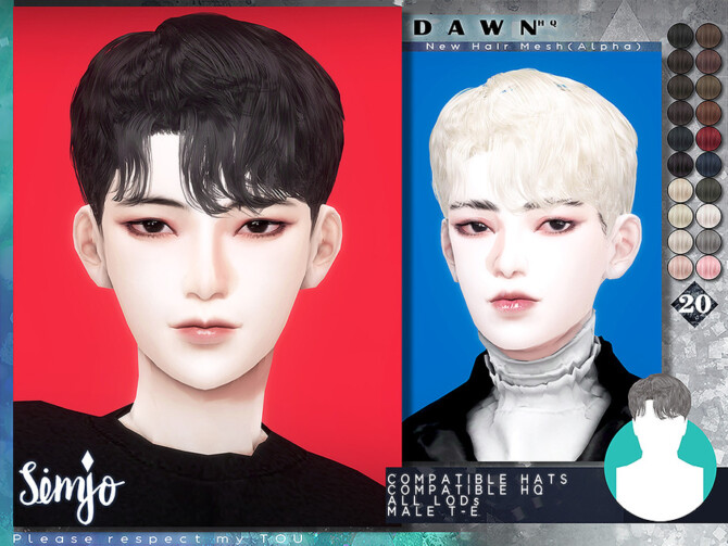 Dawn Male Hairstyle by KIMSimjo at TSR