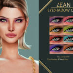 EYESHADOW CC12 at LEAN