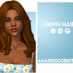 Fawn Hair at AHarris00Britney