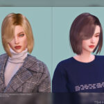 Female Hair G50 by DaisySims at TSR