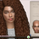 Full Face Preset 01 by PlayersWonderland at TSR