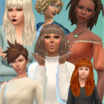 Hair Pack updated with 6 new swatches at Standardheld