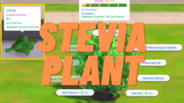 Harvestable Stevia by PiedPiper at Mod The Sims 4