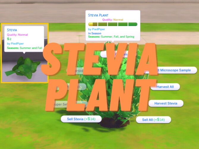 Harvestable Stevia by PiedPiper at Mod The Sims 4