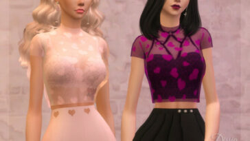 Hearts Accessory Top by Dissia at TSR