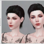 Hee Hwan Hair v2 by magpiesan at TSR