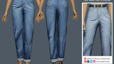 High Waist Jeans With Belt by sims2fanbg at TSR